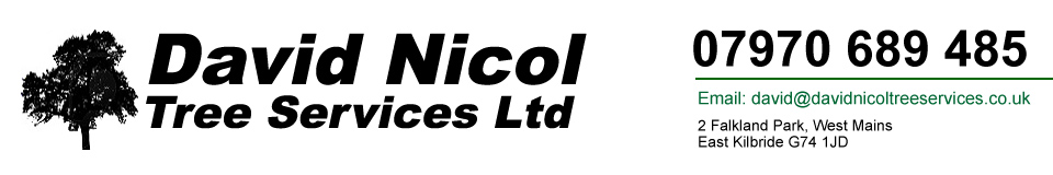 Tree Surgeons Glasgow